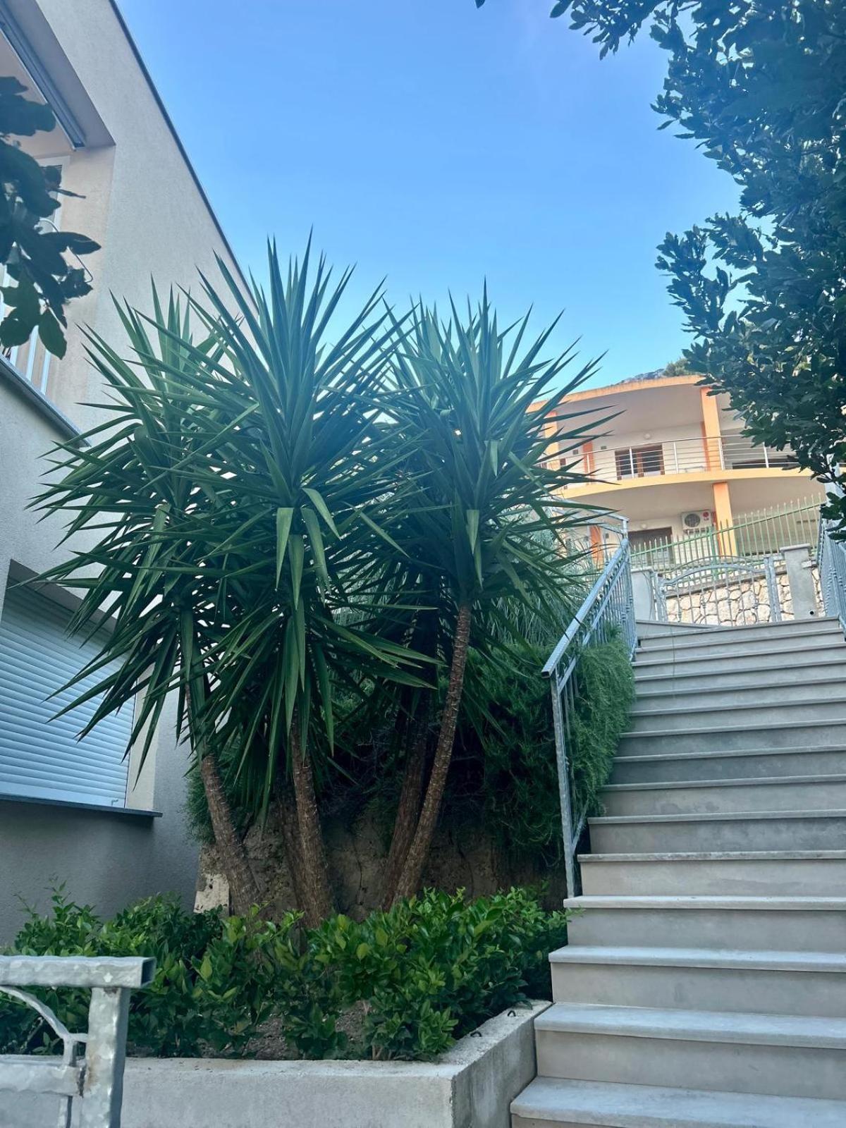Apartmán Lorenco Brela